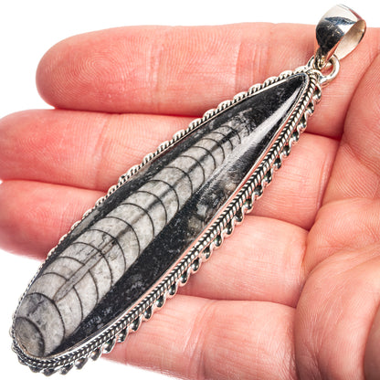 Huge Orthoceras Fossil 925 Sterling Silver Pendant 3 1/4"