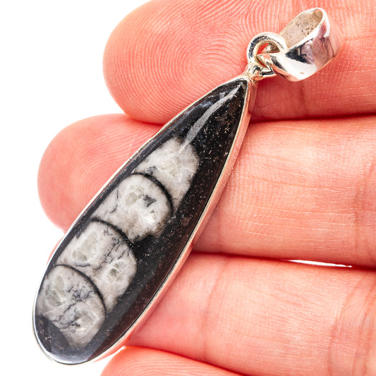Sterling silver orthoceras fossil pendant with teardrop black-and-white stone bezel.