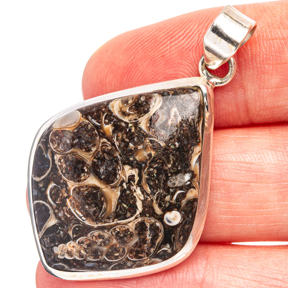 Turritella Agate Pendant 1 3/4" (.925 Sterling Silver)