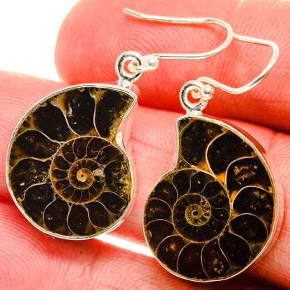 Ammonite Fossil Earrings 1 1/2" (925 Sterling Silver) EARR432032
