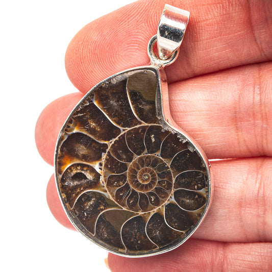 Ammonite Fossil Pendant 1 7/8" (.925 Sterling Silver)