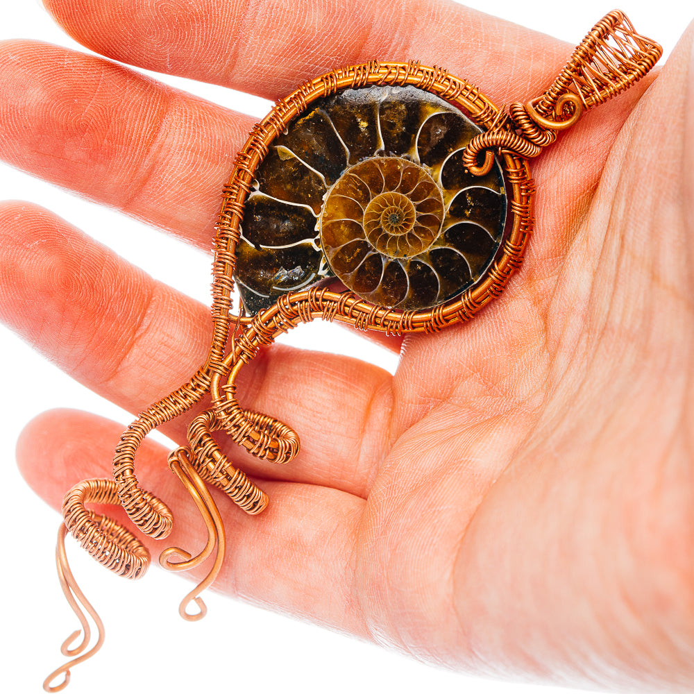 Ammonite Fossil Wire Wrap Pendant 4 1/8" (Copper)
