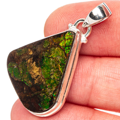 Rare Canadian Ammolite Pendant 1 1/2" (.925 Sterling Silver)