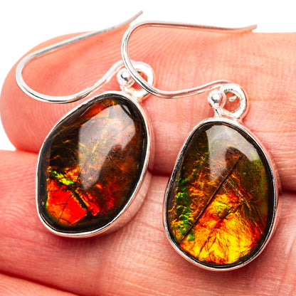 Premium Canadian Ammolite Earrings 1 1/4" (.925 Sterling Silver)