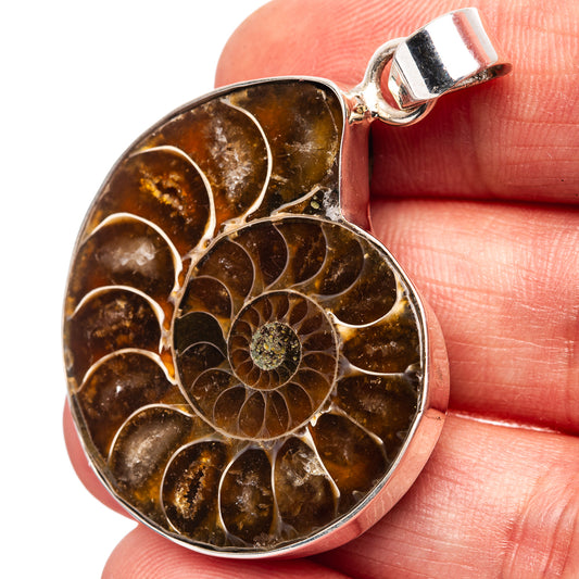 Premium Ammonite Fossil Pendant 1 3/4" (.925 Sterling Silver)