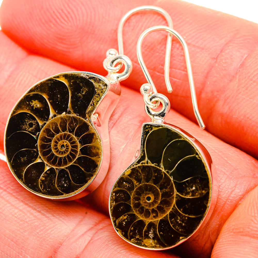 Ammonite Fossil Earrings 1 1/2" (925 Sterling Silver) EARR432057