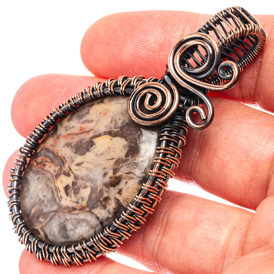 Oxidized copper wire-wrapped pendant with petrified palm root stone and spiral frame