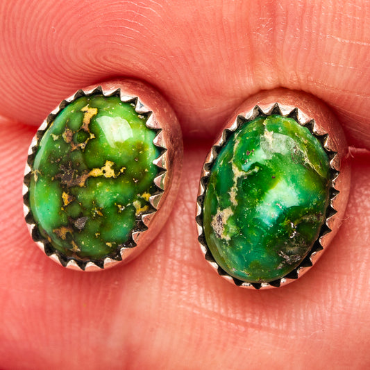 Sonoran Gold Turquoise Earrings 1/2" (.925 Sterling Silver)