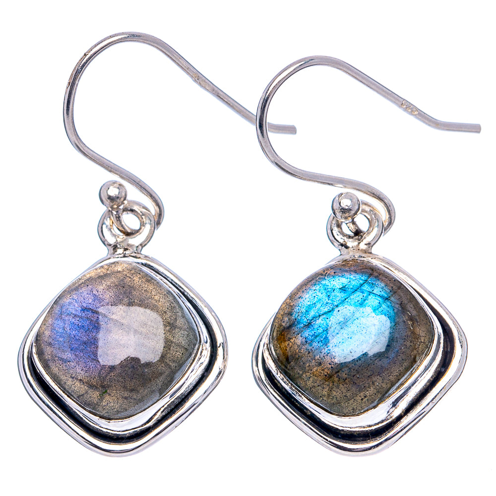 Labradorite Earrings 1 1/8" (.925 Sterling Silver)