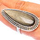 Gold Sheen Obsidian Large Ring Size 8.75 (925 Sterling Silver) R1756