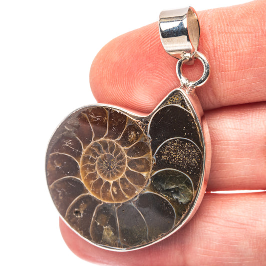 Ammonite Fossil Pendant 1 3/4" (.925 Sterling Silver)