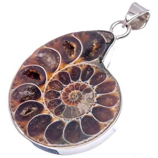 Ammonite fossil pendant in .925 sterling silver, teardrop shape with brown spiral detail