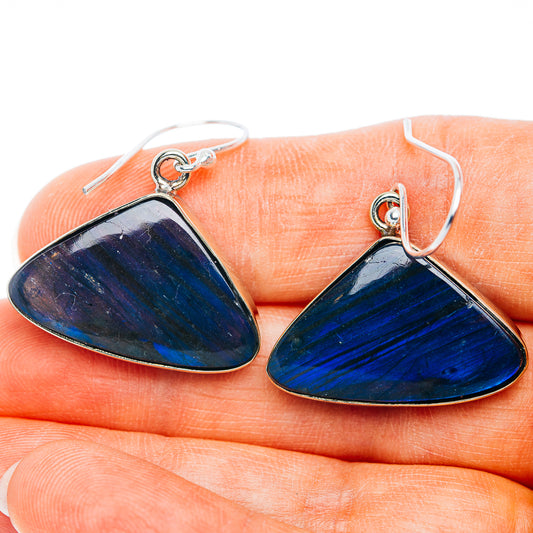 Labradorite Earrings 1 1/4" (German Silver)