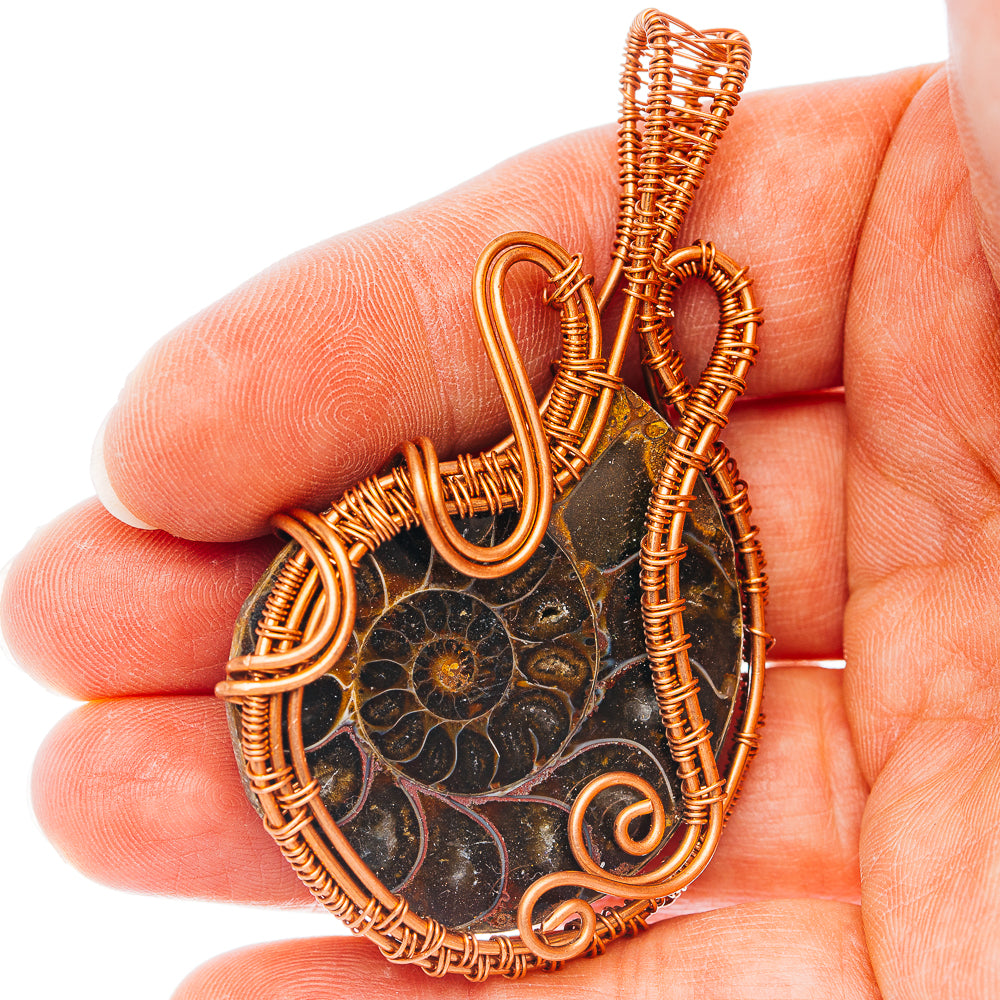 Ammonite Fossil Wire Wrap Pendant 2 5/8" (Copper)