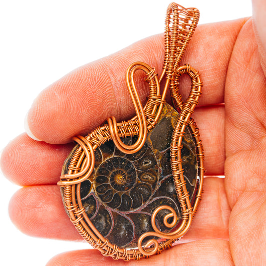 Ammonite Fossil Wire Wrap Pendant 2 5/8" (Copper)