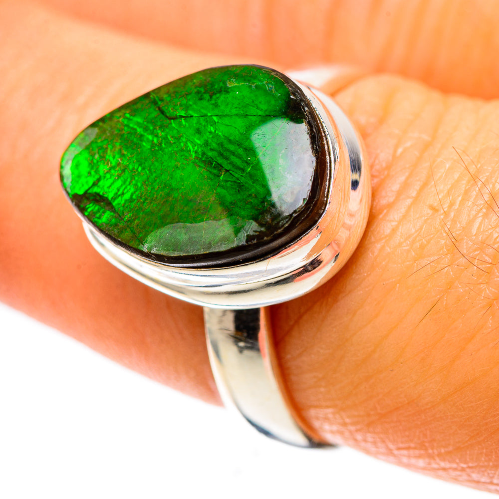 Canadian Ammolite Ring Size 7.5 (925 Sterling Silver) RING138525