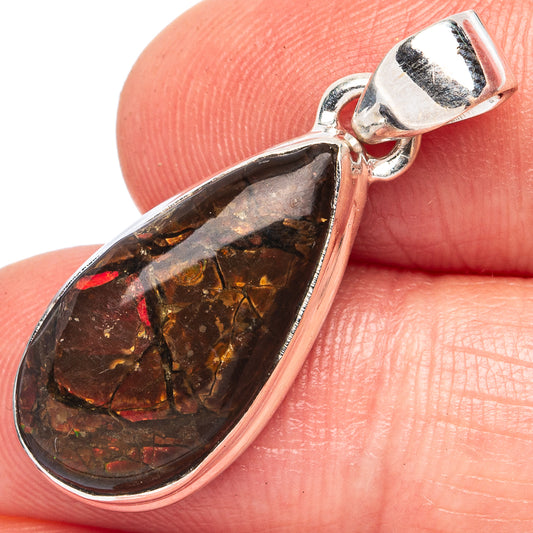Rare Ammolite Pendant 1 1/4" (925 Sterling Silver) P43404