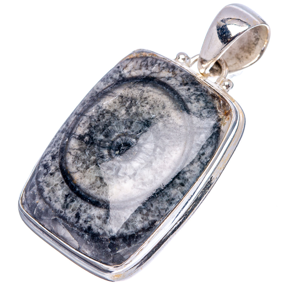 Black Horn Coral Fossil Pendant 1 1/2" (.925 Sterling Silver)