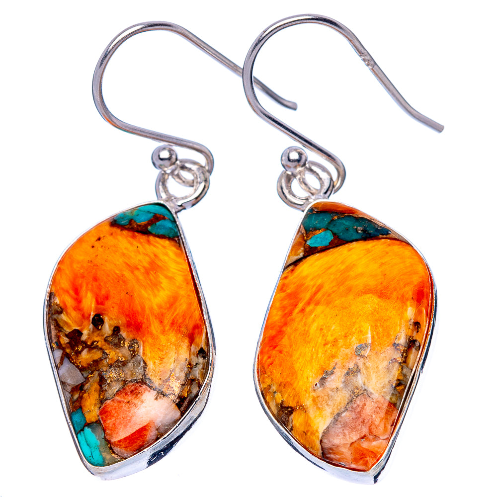 Teardrop spiny oyster earrings with turquoise in 925 silver hooks