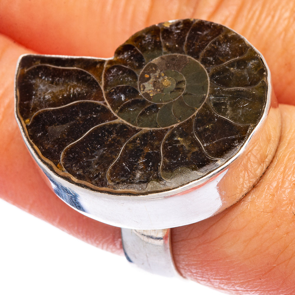Sterling silver ammonite fossil heart ring, dark brown spiral fossil on top