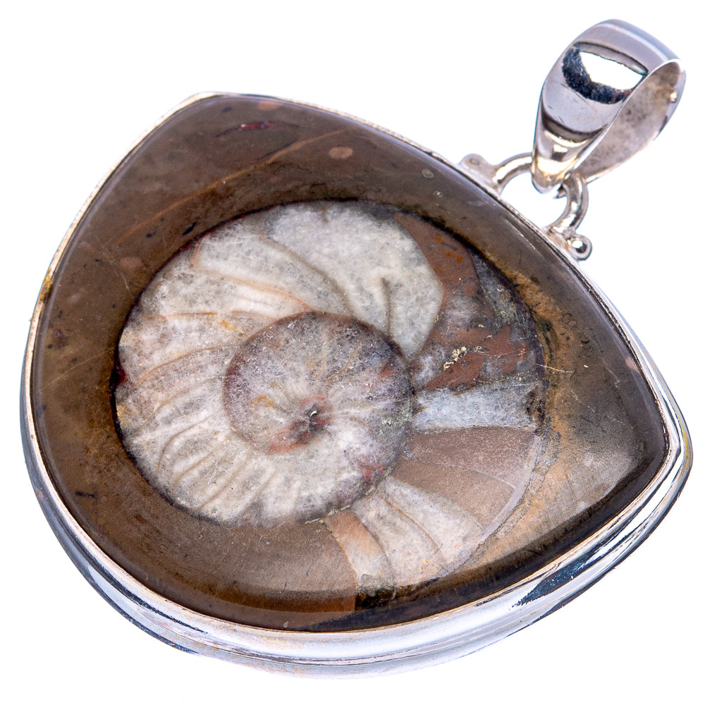Goniatite Fossil Pendant 1 5/8" (925 Sterling Silver) P43384