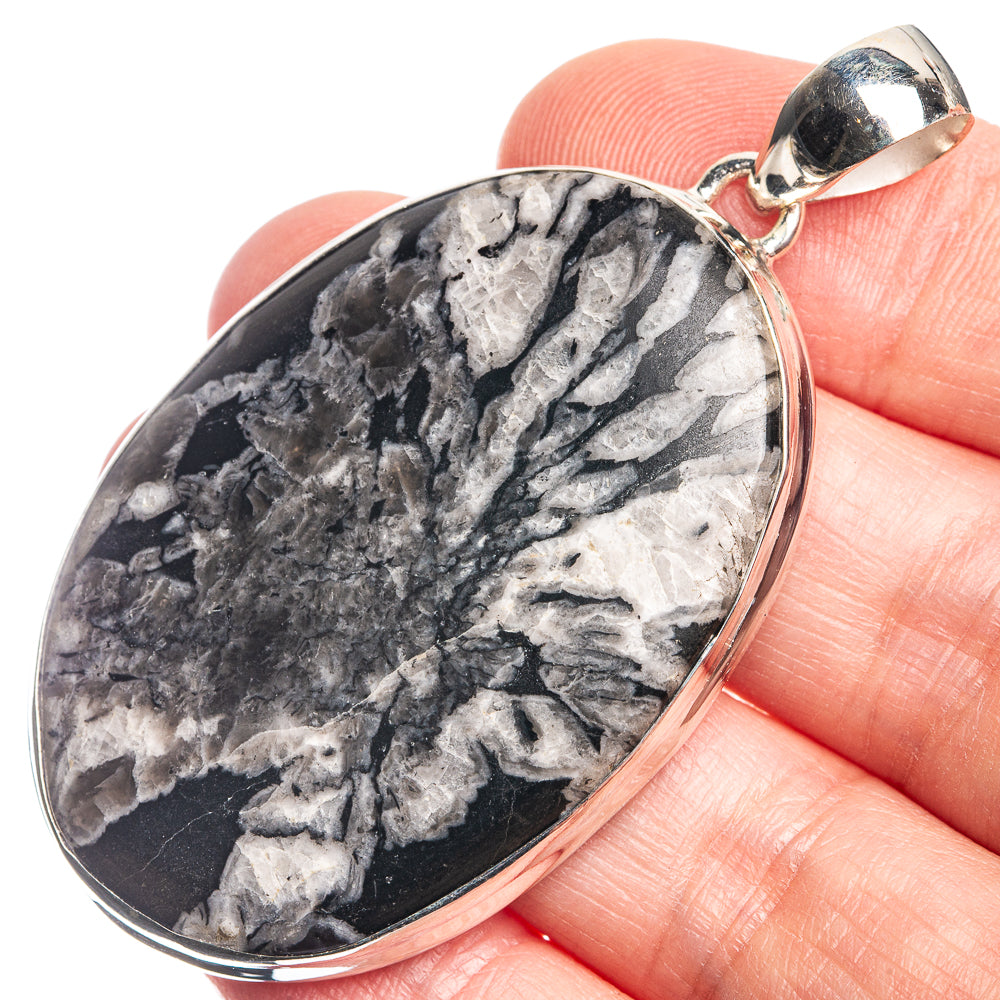 Large Chrysanthemum Stone 925 Sterling Silver Pendant 2 3/8"