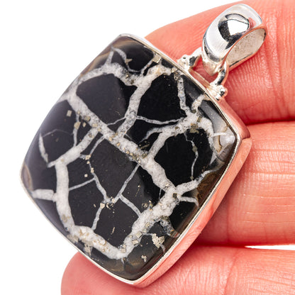 Septarian Gronate Pendant 1 1/2" (.925 Sterling Silver)