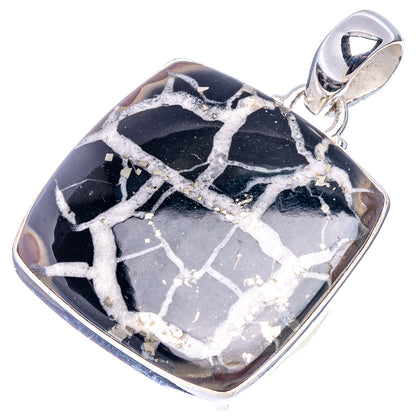 Septarian Gronate Pendant 1 1/2" (.925 Sterling Silver)