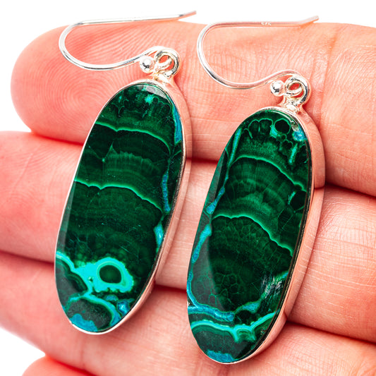 Oval green malachite/chrysocolla earrings, 925 sterling silver hooks