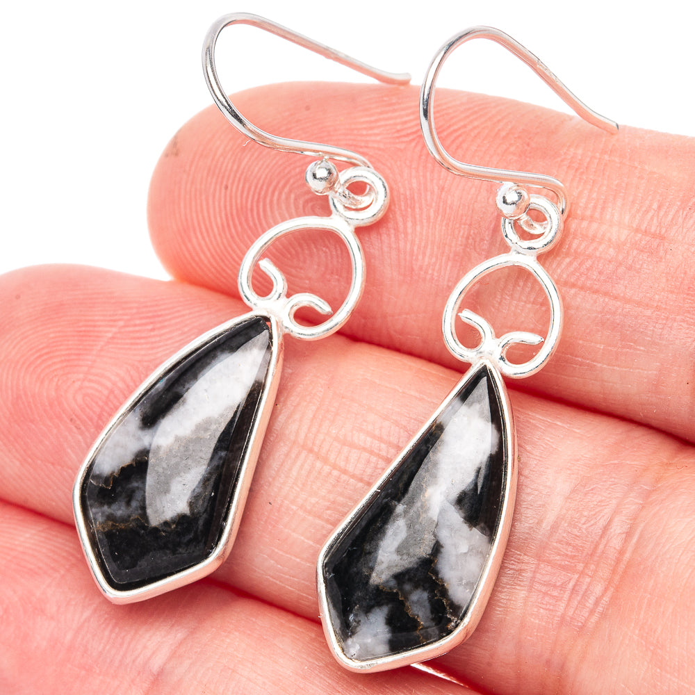 Sterling silver drop earrings with oval heart accents and black-and-white teardrop stones
