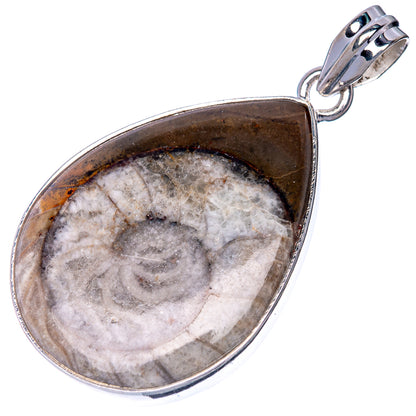 Ammonite fossil pendant in teardrop sterling silver bezel with top loop