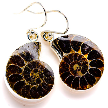 Ammonite Fossil Earrings 1 1/2" (925 Sterling Silver) EARR432109