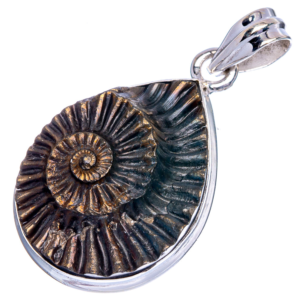 Ammonite fossil pendant with sterling silver bail and teardrop setting, dark bronze pattern