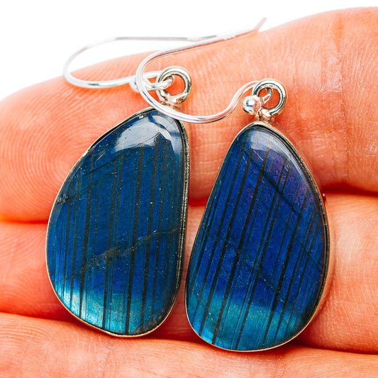 Labradorite Earrings 1 5/8" (German Silver)