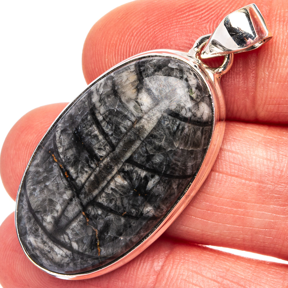 Orthoceras Fossil Pendant 1 5/8" (.925 Sterling Silver)
