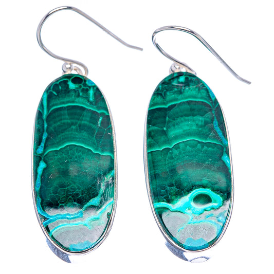 Oval green malachite-chrysocolla earrings with 925 sterling silver fishhooks