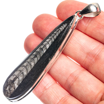 Large Orthoceras Fossil 925 Sterling Silver Pendant 2 7/8"