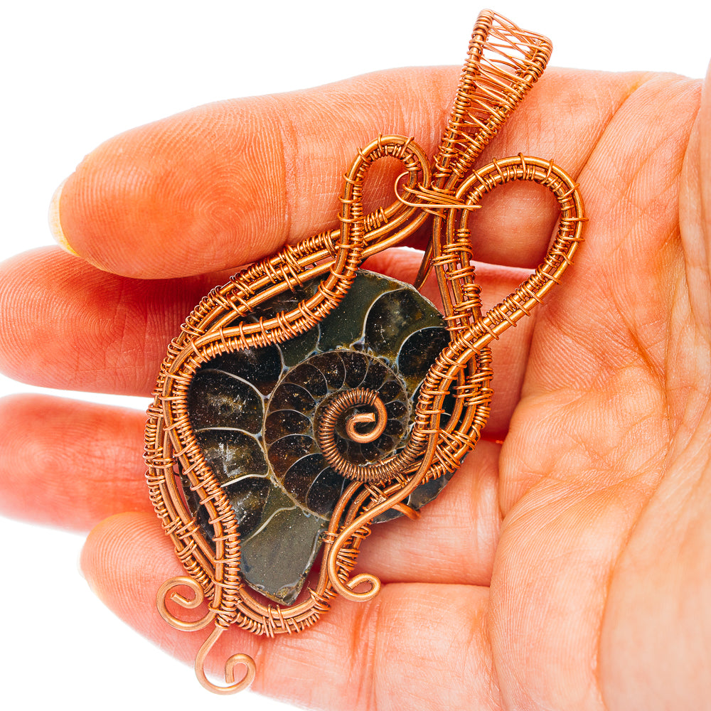 Ammonite Fossil Wire Wrap Pendant 3" (Copper)