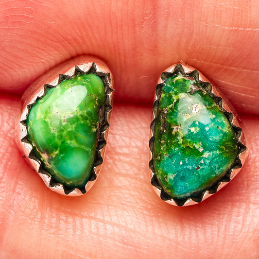 Sonoran Gold Turquoise Earrings 3/8" (.925 Sterling Silver)