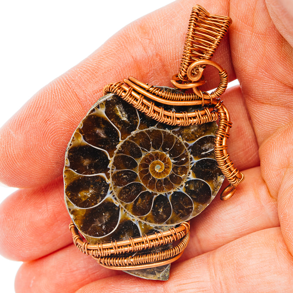 Ammonite Fossil Wire Wrap Pendant 2 1/4" (Copper)