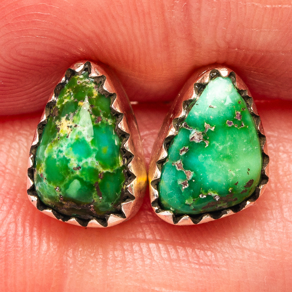Sonoran Gold Turquoise Earrings 3/8" (.925 Sterling Silver)
