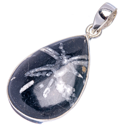 Chrysanthemum stone pendant with teardrop black stone, white streaks, sterling silver bail
