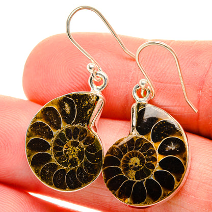 Ammonite Fossil Earrings 1 1/2" (925 Sterling Silver) EARR432109