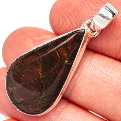 Rare Ammolite Pendant 1 1/2" (925 Sterling Silver) P43461