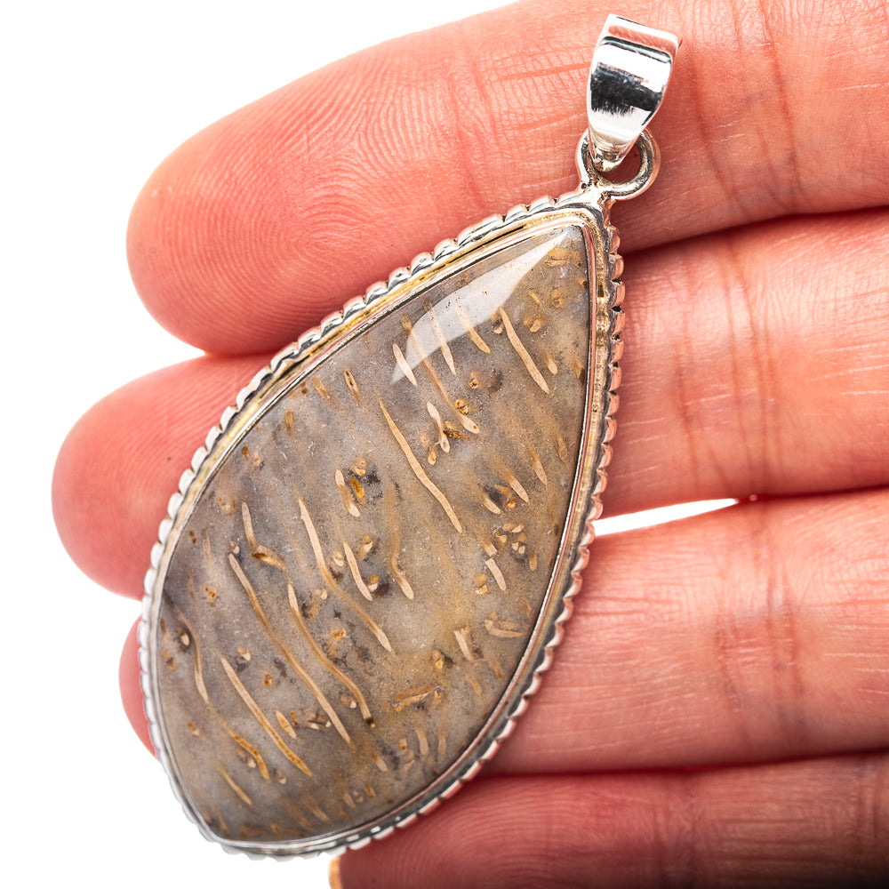 Premium Fossil Coral Pendant 2 3/8" (.925 Sterling Silver)