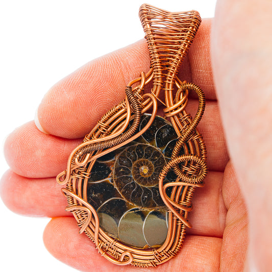 Ammonite Fossil Wire Wrap Pendant 2 1/2" (Copper)