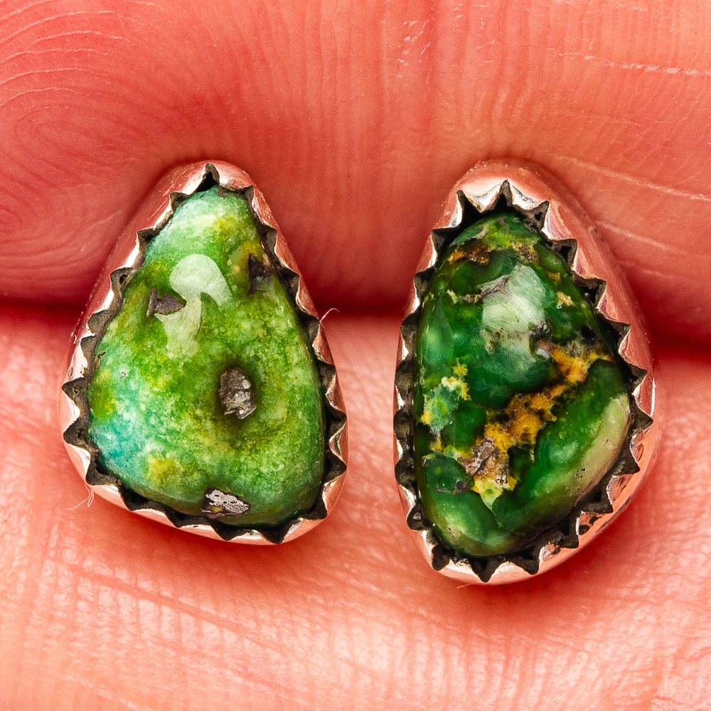 Sonoran Gold Turquoise Earrings 3/8" (.925 Sterling Silver)