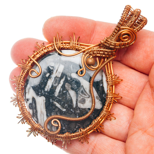 Crinoid Fossil Wire Wrap Pendant 3" (Copper)