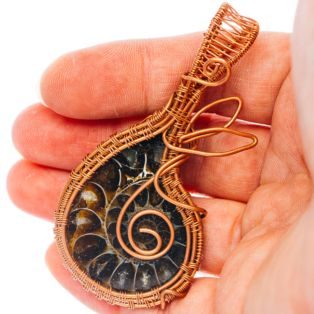 Ammonite Fossil Wire Wrap Pendant 2 3/4" (Copper)