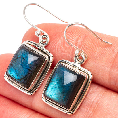 Labradorite Earrings 1 1/4" (.925 Sterling Silver)